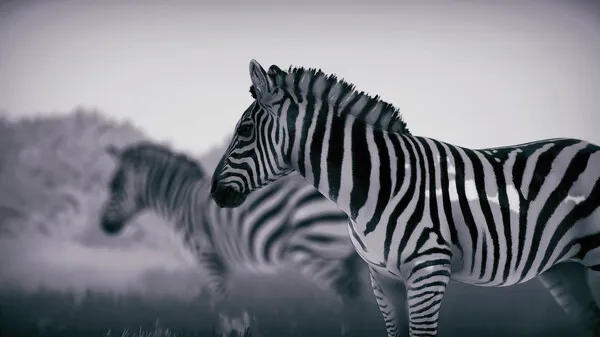 Seclusa (2026) PC Full Español Seclusa (2026) PC Full Español