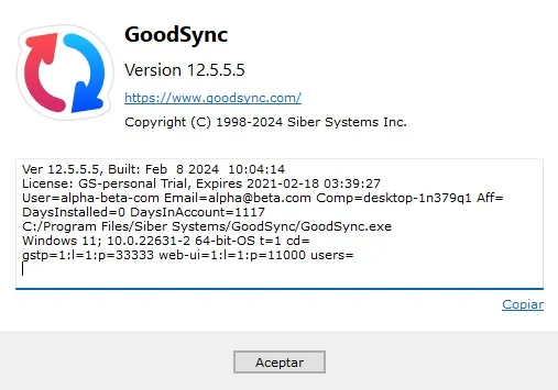 GoodSync Enterprise Versión Full Español