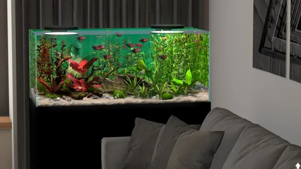 Behind Glass Aquarium Simulator (2025) PC Full Español