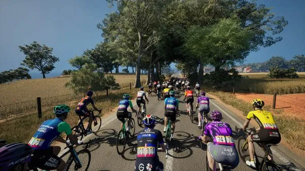 Pro Cycling Manager 25 (2025) PC Full Español