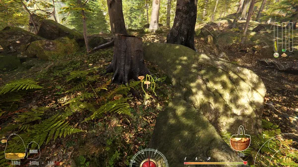 Forest Ranger Simulator (2024) PC Full Español