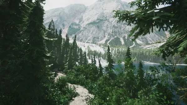 Lushfoil Photography Sim (2025) PC Full Español
