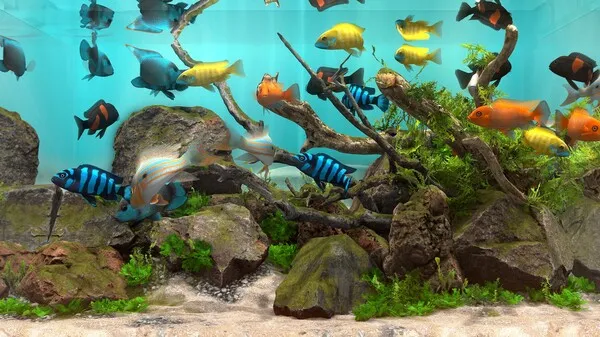 Behind Glass Aquarium Simulator (2025) PC Full Español